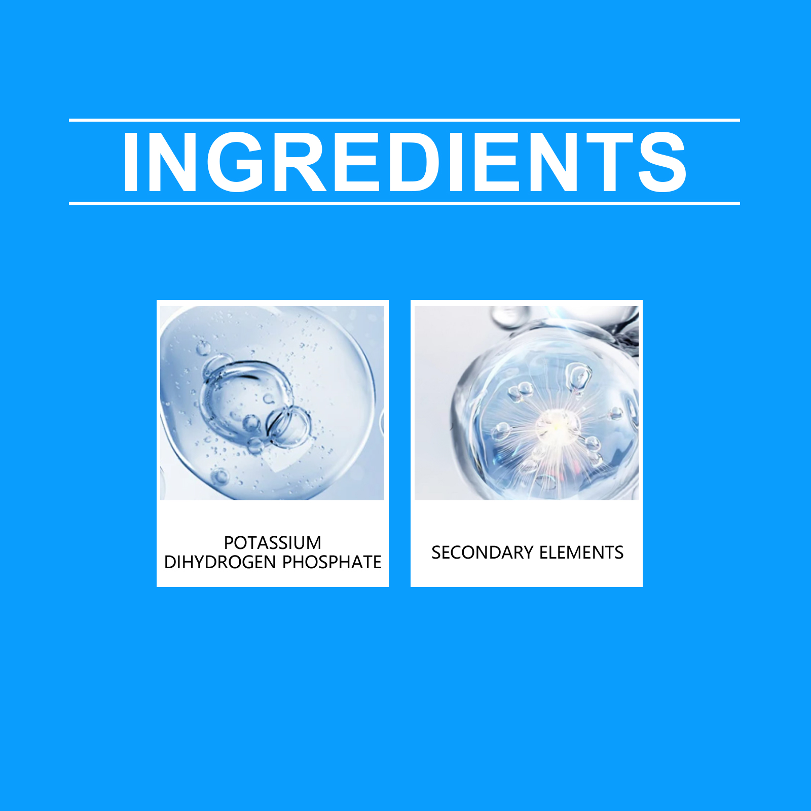 Solución nutritiva de flores,  - Nutrition & Fitness Class reseña y precio